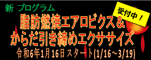 スクリーンショット 2023-12-28 142754