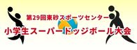 第29回東砂スポーツセンター 小学生スーパードッジボール大会