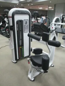 ロータリートーソ(脇腹)