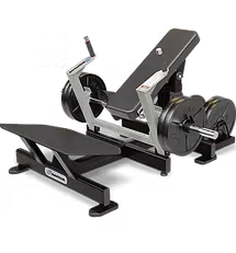 グルートドライブ