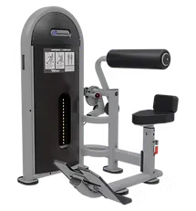 アブドミナル/バック