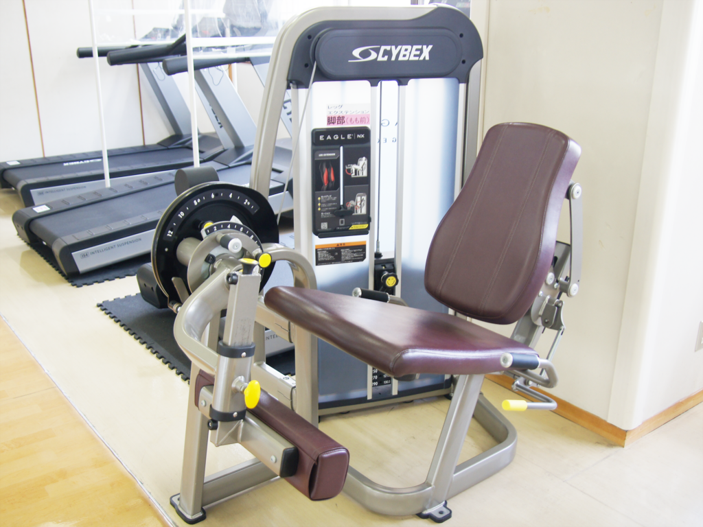 レッグエクステンション
