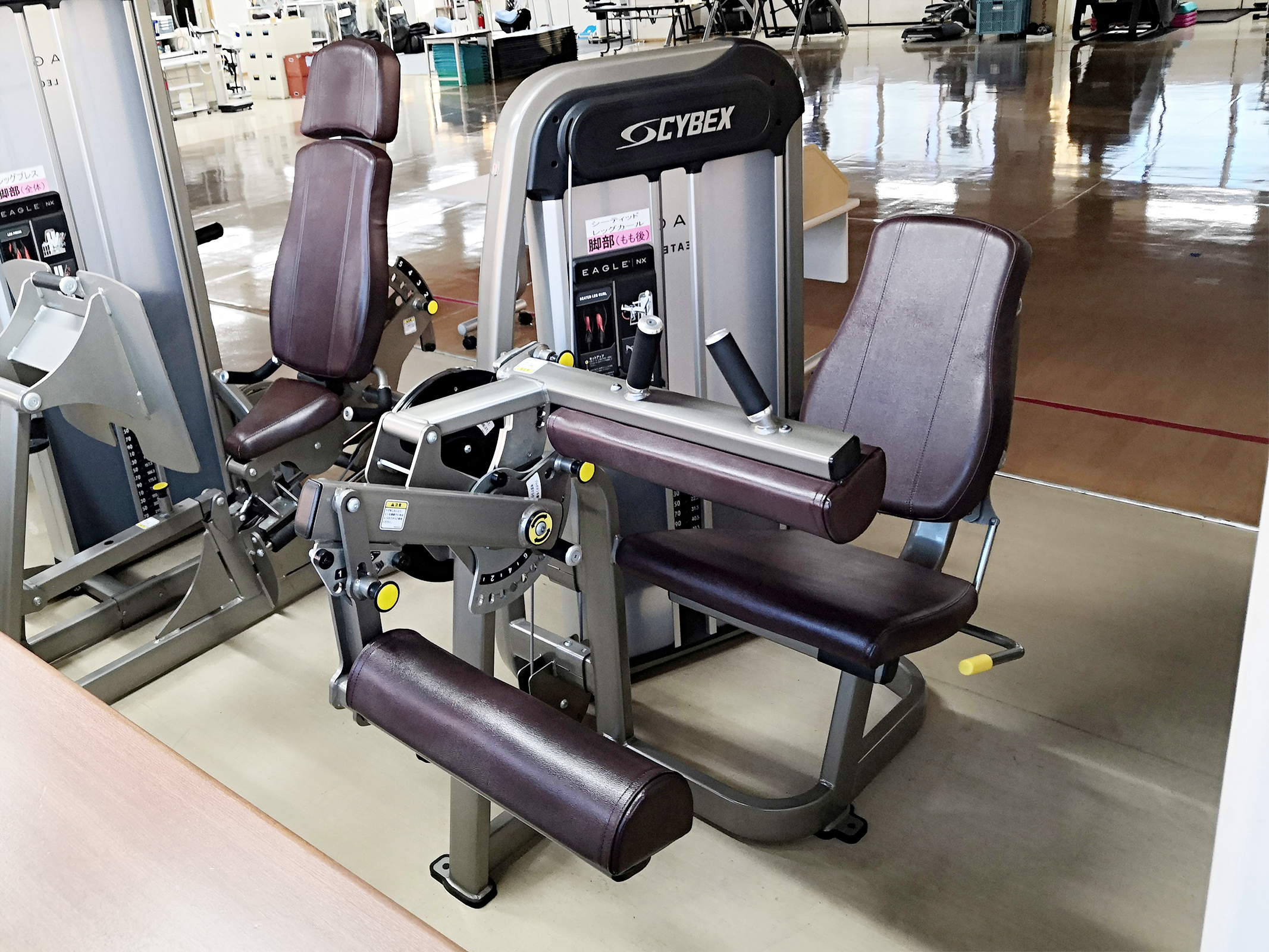 シーテッドレッグカール