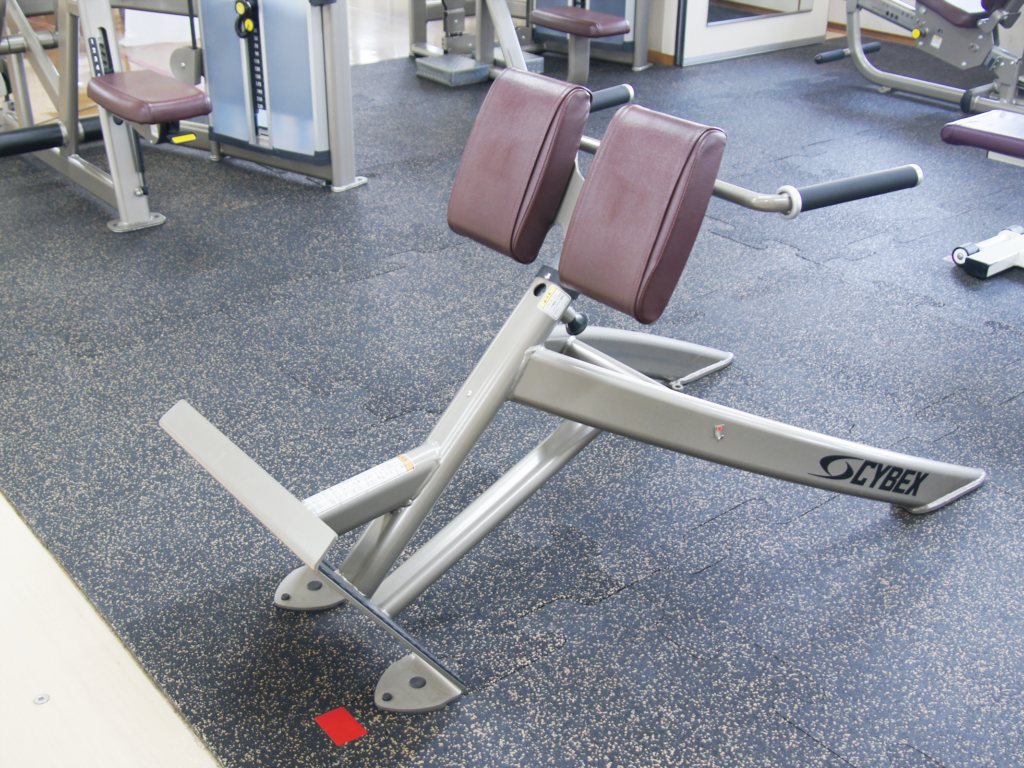 45°バックエクステンション