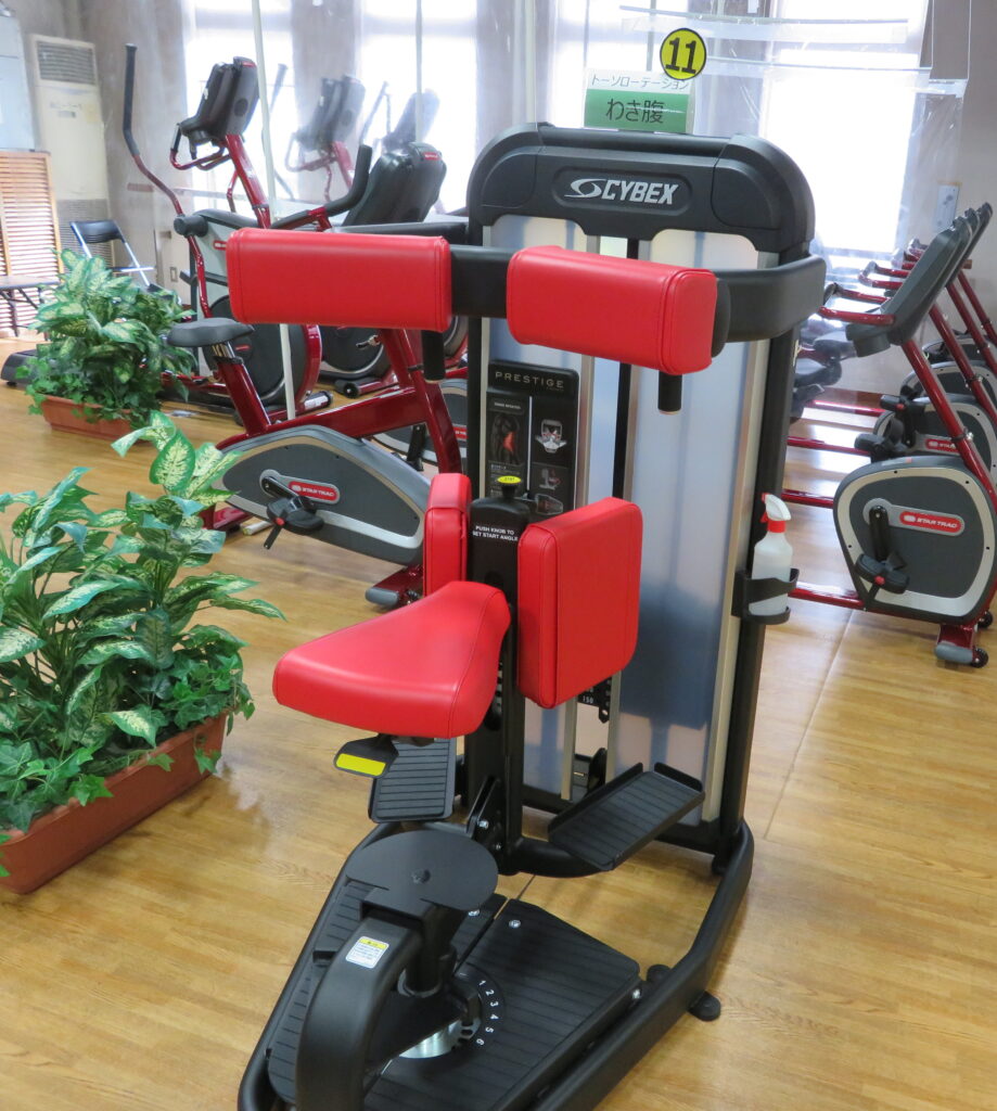 トーソローテーション