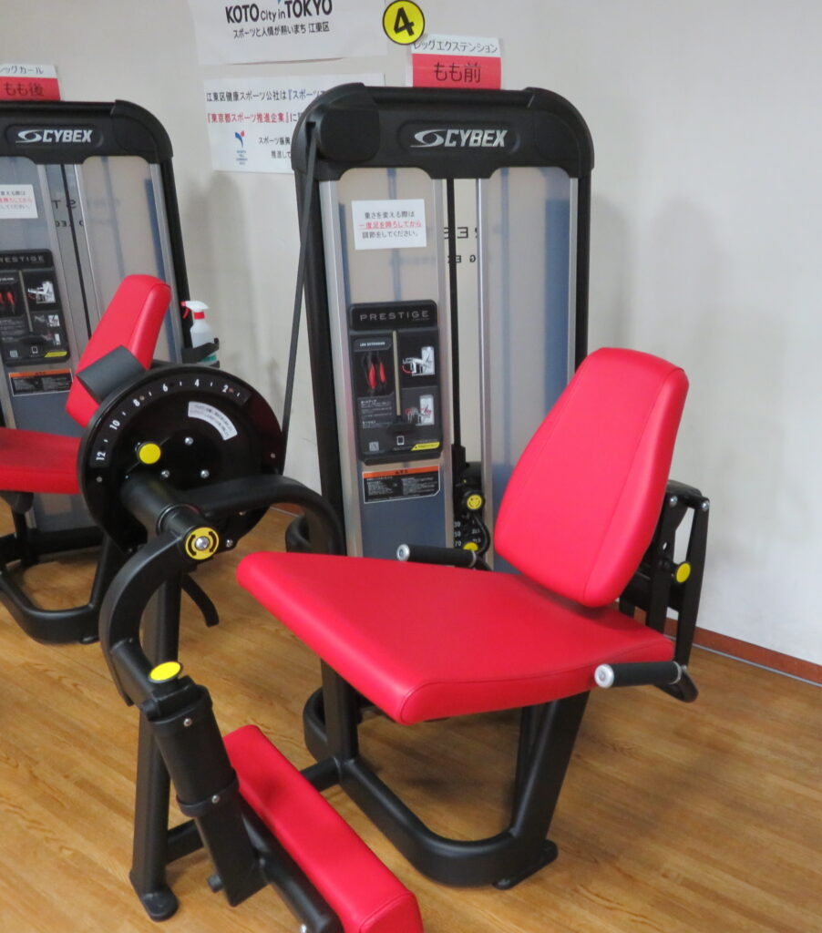 レッグエクステンション