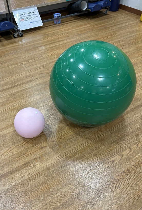 バランスボール 小/大