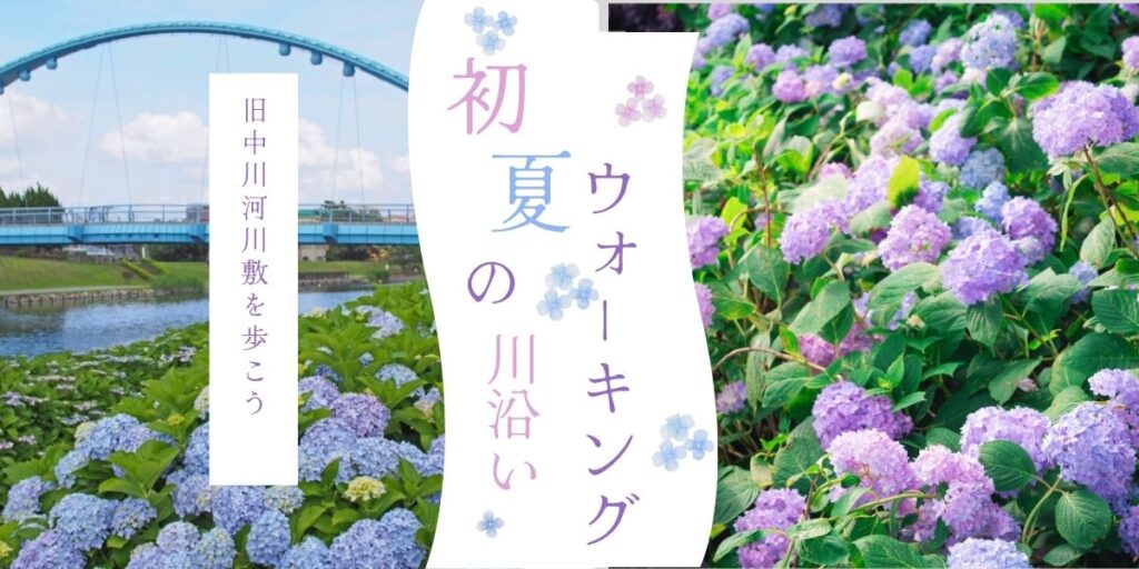 初夏の川沿いウォーキング
